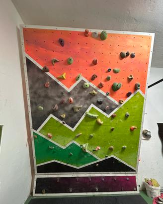 Pannello arrampicata