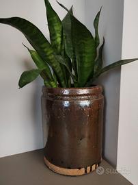 vaso ceramica