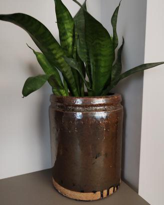vaso ceramica