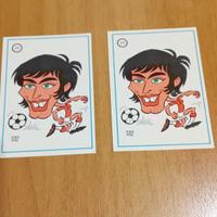 Album GRAN VARIETÀ PANINI