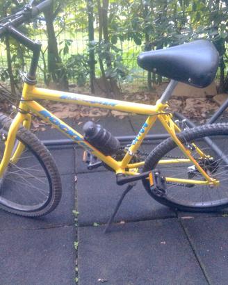 Mountain bike 