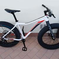 Fatbike DeVinci e Mountain bike