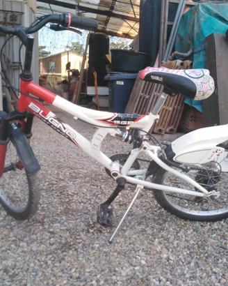 MTB bimbo/bimba
