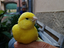 Immagine 1