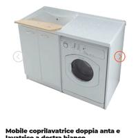 copri lavatrice lavatoio