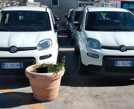 Fiat Panda 1.0 Hybrid -VW UP! 1.0 BENZINA NOLEGGIO