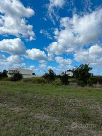 Terreno agricolo 1 ha 2.432 m² oristano