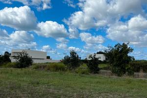 Terreno agricolo 1 ha 2.432 m² oristano