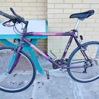 bicicletta MTB Atala mod. BIRD STX