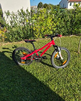 Bicicletta MTB SCOTT JR20