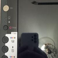 Stampante Epson Sx100