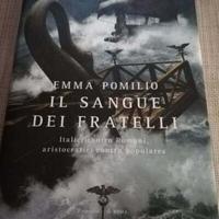 LIBRO IL SANGUE DEI FRATELLI DI EMMA POMILIO