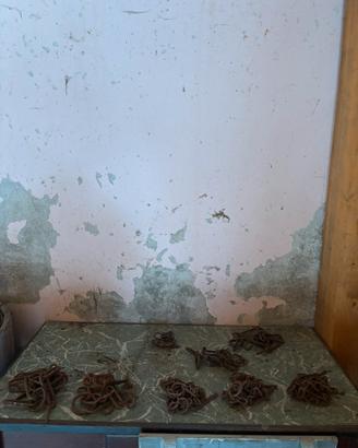 Antiche catene da stalla per mucche