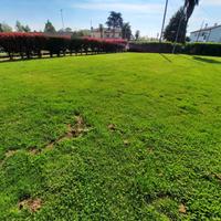 Casa singola, ideale per due nuclei più magazzino