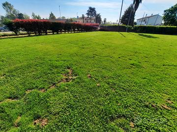 Casa singola, ideale per due nuclei più magazzino