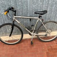 Mountain bike