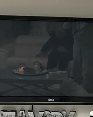 Tv LG 42”