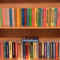 Almanacchi calcio panini dal 1971-2024