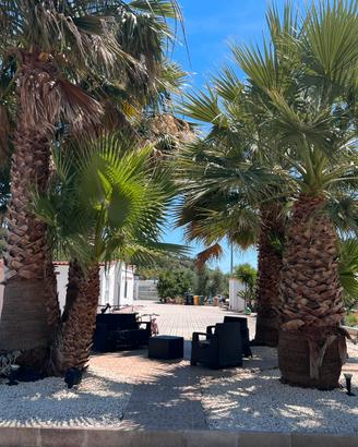 Agosto vacanze
