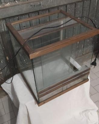 terrario teca in vetro per rettili/aracnidi