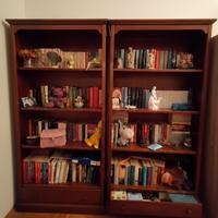 LIBRERIA GEMELLARE VINTAGE IN LEGNO MASSELLO