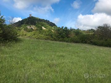 Terreno agricolo in posizione panoramica