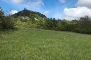 Terreno agricolo in posizione panoramica