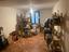 Immagine 14