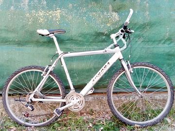 Bicicletta Mountain Bike in alluminio