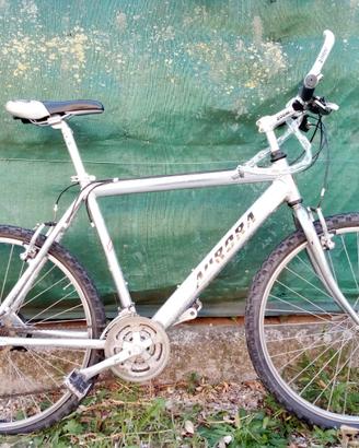 Bicicletta Mountain Bike in alluminio