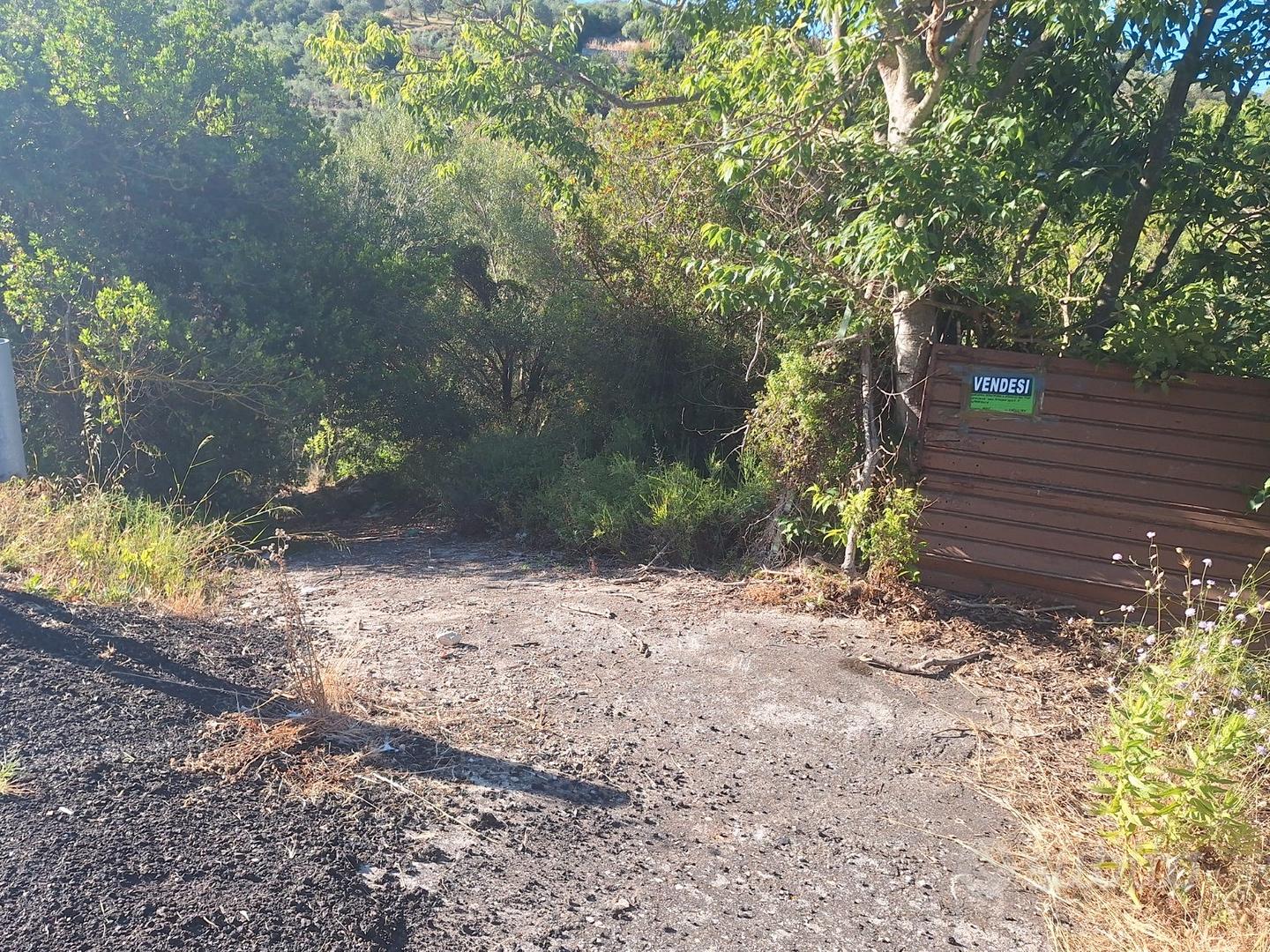 Campagna in località Gelidu Sorso - Vista 5