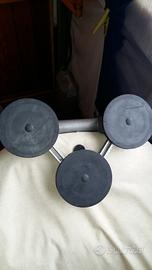 Ventosa professionale