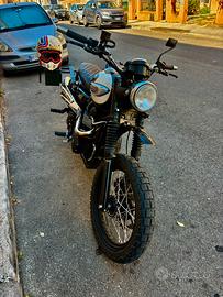 Triumph scrambler 900