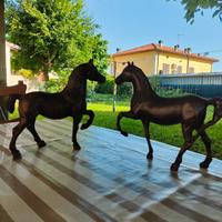 cavalli in ferro 