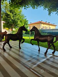 cavalli in ferro 