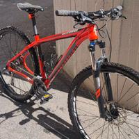 MTB Specialized Rockhopper 29