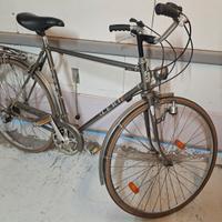 Bici da uomo