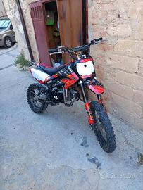 pit bike 140 profive 