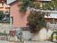 Immagine 6