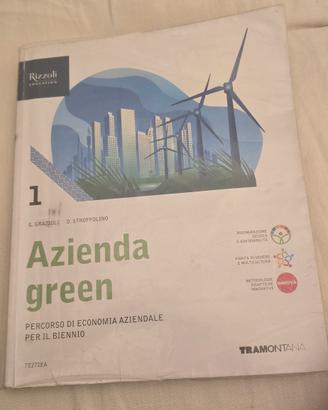 Azienda Green 1 - Economia Aziendale