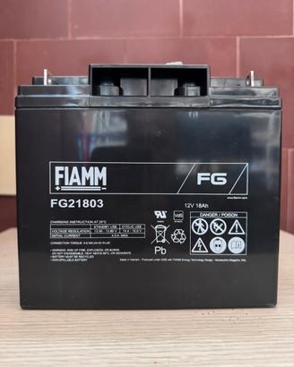 Batteria al Piombo FIAMM FG21803 12V 18Ah