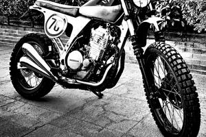 Honda nx650 dominator scrambler