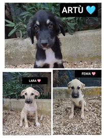 Lara fenia e artù, 2 mesi e mezzo