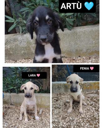 Lara fenia e artù, 2 mesi e mezzo