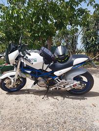 Ducati monster 600