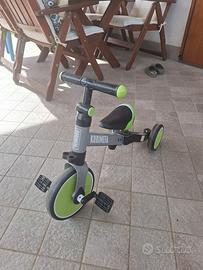 triciclo evolutivo
