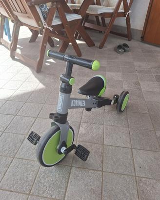 triciclo evolutivo