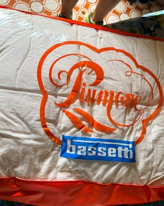 Piumone matrimoniale Bassetti due piazze e mezza