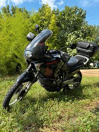 Honda XL 650 V Transalp - 2003
