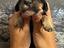 Immagine 4